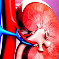 Portal z newsami medycznymi – Faktymedyczne.pl